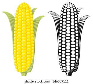 Corn on the Cob / Sweetcorn with leaves, flat graphic vector illustration. Colour and Black & White. Fully adjustable & scalable.