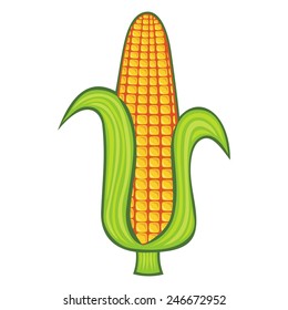 Corn on the cob vector illustration