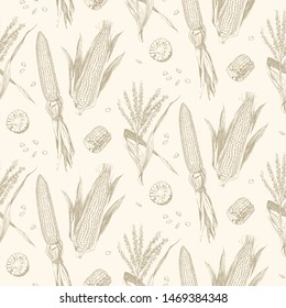 Corn on the cob vintage design seamless pattern in beige. Botanical corn. Vector illustration. Maize