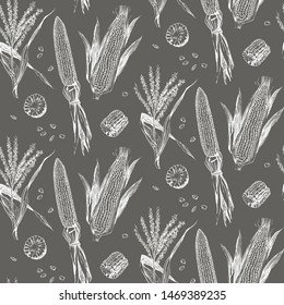 Corn on the cob vintage design seamless pattern white chalk on a blackboard drawing. Botanical corn. Vector illustration. Maize