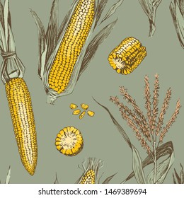 Corn on the cob vintage design seamless pattern. Botanical corn. Vector illustration. Maize