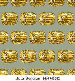 Corn on the cob vintage design seamless pattern. Botanical corn. Vector illustration. Maize