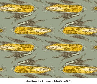 Corn on the cob vintage design seamless pattern. Botanical corn. Vector illustration. Maize