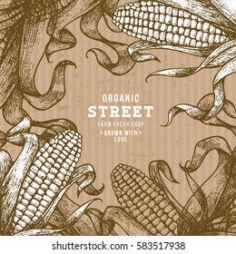 Corn on the cob vintage design template. Botanical corn. Vector illustration