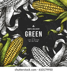 Corn on the cob vintage design template. Botanical corn. Vector illustration