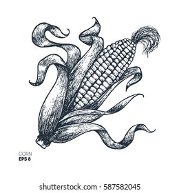 Corn the cob vintage