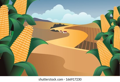 Corn on a farm. EPS 10 vector, grouped for easy editing. No open shapes or paths.