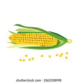 The corn on white background.