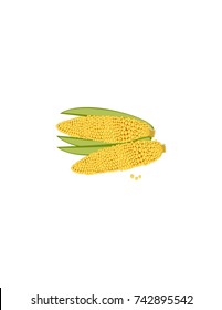 Corn on a white background