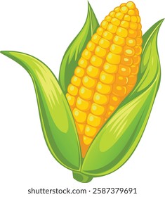 corn on a white background. Farm Crop Design