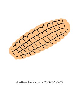Corn on a white background. Fresh vegetable. Healthy eating and diet. Natural vegetarian product with vitamins. Farm harvest. Cooking ingredient. Icon sign. Flat vector isolated illustration