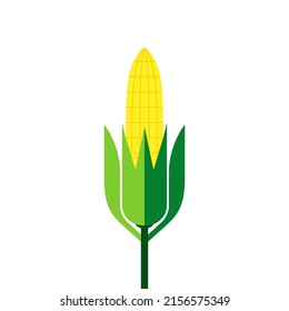 Corn on white background. Corn logo design.
