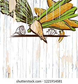 corn on wood menu background. Vector food illustration.