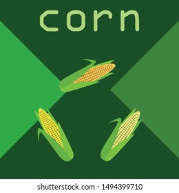 Corn. Organic food poster. Farmer market design. Vector background.
