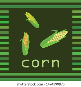 Corn. Organic food poster. Farmer market design. Vector background.