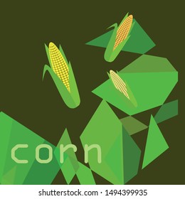 Corn. Organic food poster. Farmer market design. Vector background.