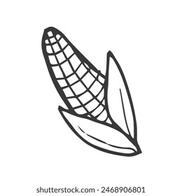 Ilustración simple del contorno del maíz para el menú. Línea dibujada a mano boceto mazorca de maíz en hojas y desnudo aislado sobre fondo blanco