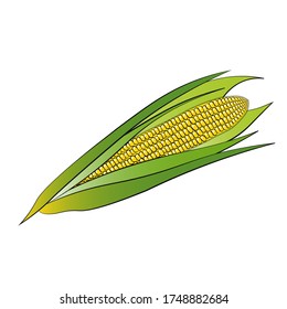 corn, outline style, for menu, simple illustration