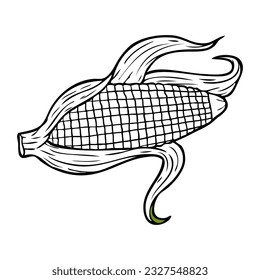 corn outline vector illustration,
isolated on white background.Top view