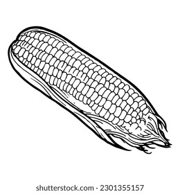corn outline vector illustration,isolated on white background,top view