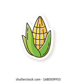 Corn patch. Corncob pipe with leaf. Sweetcorn. Maize cereal crop. Traditional south american agriculture. Hispanic national cultivation. RGB color printable sticker. Vector isolated illustration
