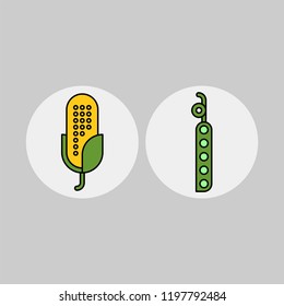 Corn, pea flat vector icons