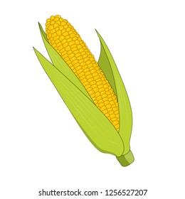 Corn Peel On White Background Vector Stock Vector (Royalty Free ...