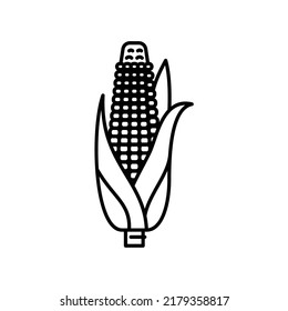 Corn peeled icon in outline style