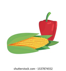 corn pepper bell fresh food vector illustration