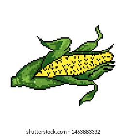 Corn with Pixel art Style. EPS 10