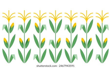 Corn plant, abstract pattern. Botanical illustration of field maize: stalks, leaves and cobs. Minimalist vector illustration. 