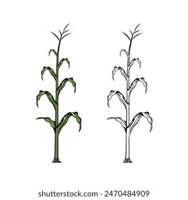 Vector de ilustración de diseño de plantas de maíz, formato eps , adecuado para sus necesidades de diseño, logotipo, ilustración, animación, etc.