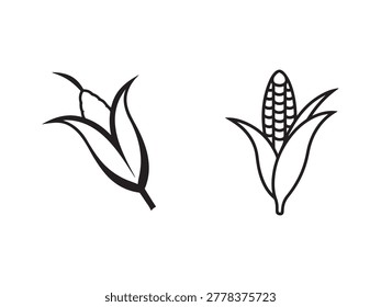 Corn plant  