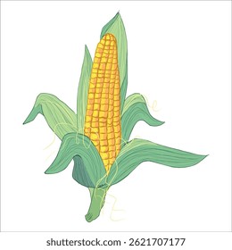 corn, plant, gardening. vegetable garden. healthy eating, health, food. bright saturated, hand-drawn illustration. vector. design of packages, stickers. decor.