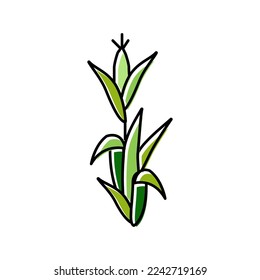corn plant green color icon vector. corn plant green sign. isolated symbol illustration
