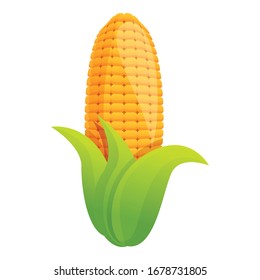 Corn plant icon. Cartoon of corn plant vector icon for web design isolated on white background