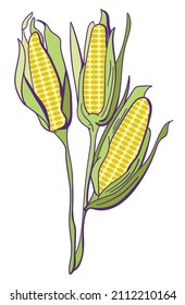 Corn plant illustration yellow and green