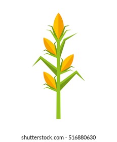 Corn Plant Isolated Icon Vector Illustration Design