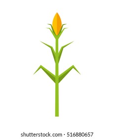 Corn Plant Isolated Icon Vector Illustration Design