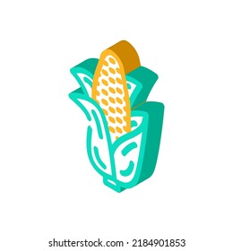 corn plant isometric icon vector. corn plant sign. isolated symbol illustration