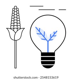 Corn plant and a light bulb with a leaf inside. Ideal for sustainability, agriculture, renewable energy, eco-friendly technology, environmental innovation. Simplistic line art style