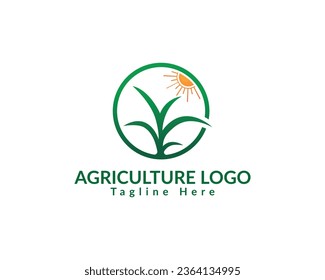 Corn plant, rice plant, wheat plant, green leaf logo. Abstract design concept for ecology, reforestation, growing, organic and seed plants.