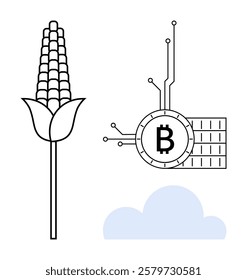 Corn plant standing beside a Bitcoin symbol connected to circuitry above a cloud. Ideal for cryptocurrency, agriculture technology, blockchain farming, digital economy, and sustainable innovation