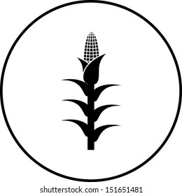 Corn Plant Symbol