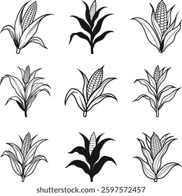 Corn Plants in Various Styles A Vector Illustration Set, Corn Plant Silhouette
