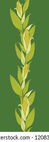 Corn plants vertical seamless pattern background border