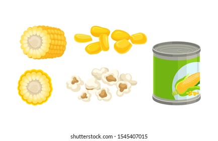 Corn Product Vector Illustrated Set Isolated On White Background