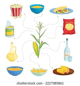 Corn products flat set with isolated images of served dishes drinks and oil combined in flowchart vector illustration