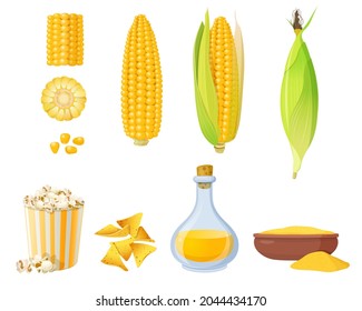 Corn products and food elements. Ear of corn in leaves, corn grits polenta, corn oil and popcorn.  Vector illustration