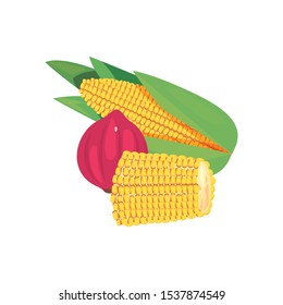 corn red onion fresh food vector illustration